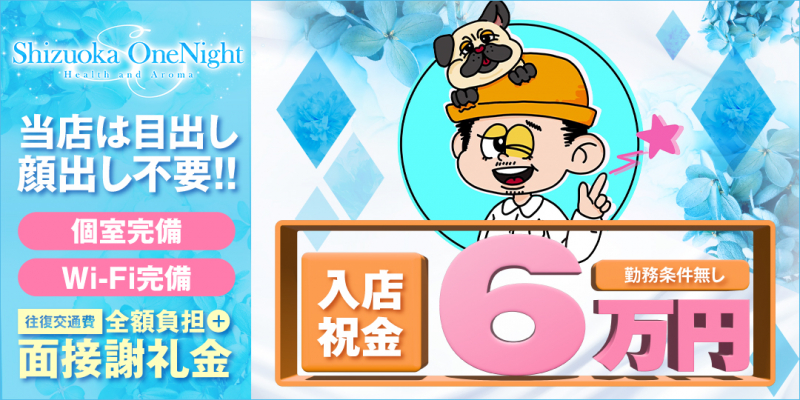 静岡ワンナイト〔求人募集〕